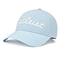 Blue Bird
