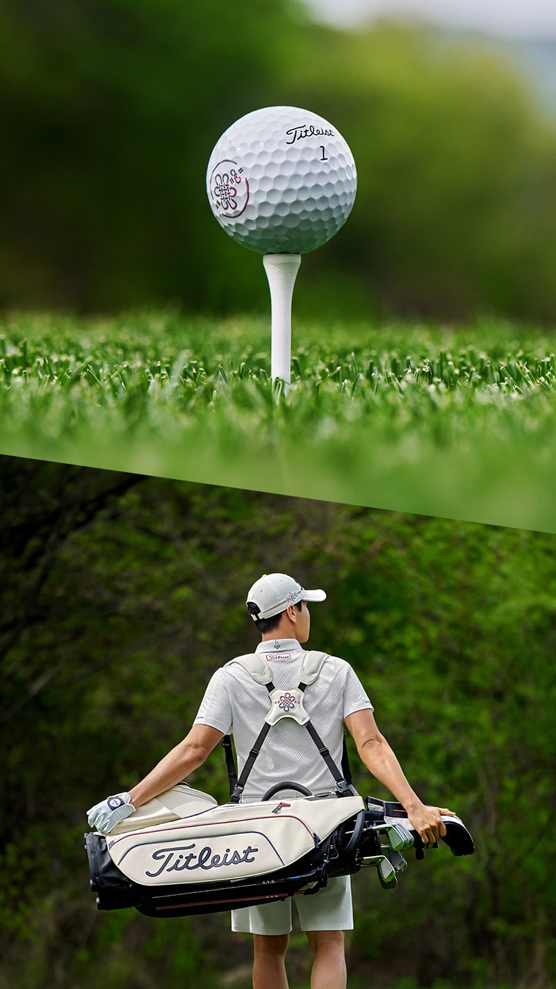 2026 Korea Collection